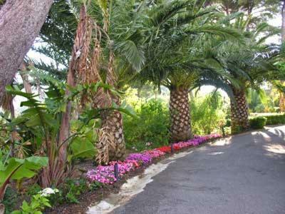 Appart. 4 Pers A 6 Kms De Cassis Avec Acces Piscine Appartement *